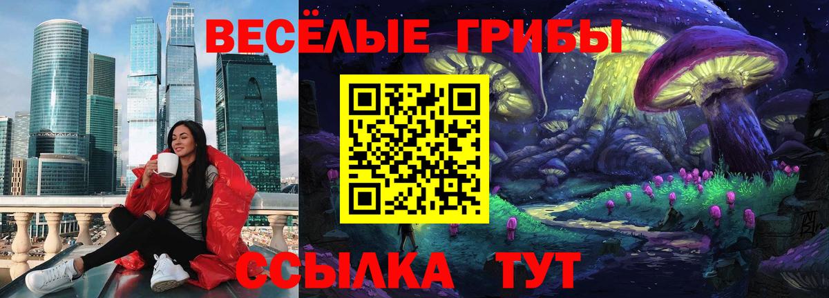 Отрадный  Псилоцибиновые грибы Psilocybe  Псилоцибиновые грибы Cubensis  Вход с VPN 